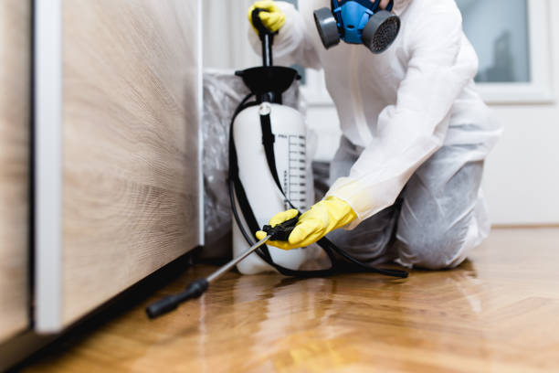 Best Emergency Pest Control  in The Acreage, FL