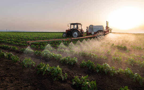 Best Best Pest Control Companies  in The Acreage, FL