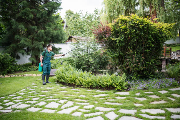 Best Affordable Pest Control Services  in The Acreage, FL