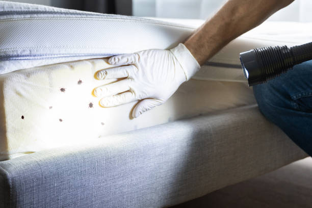 Best Affordable Pest Control Services  in The Acreage, FL