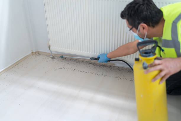 Best Residential Pest Control  in The Acreage, FL