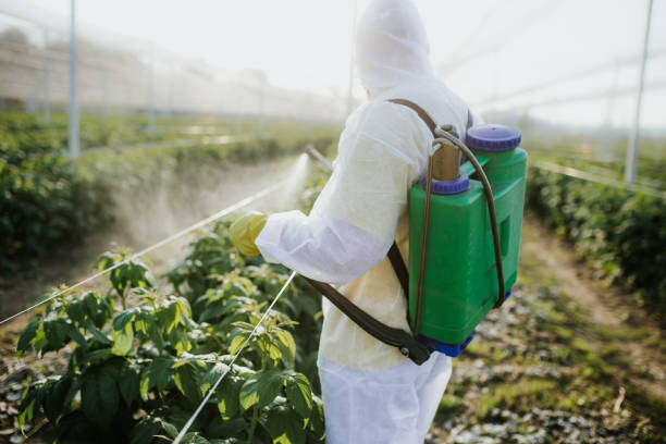 Professional Pest Control in The Acreage, FL